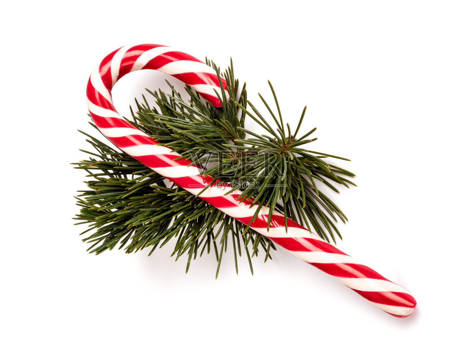 糖果手杖与松枝照片摄影图片