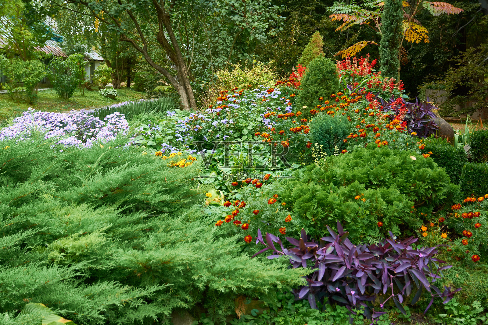 装饰插花,紫丁香,菊花等花卉在秋季花园,秋季花束。照片摄影图片