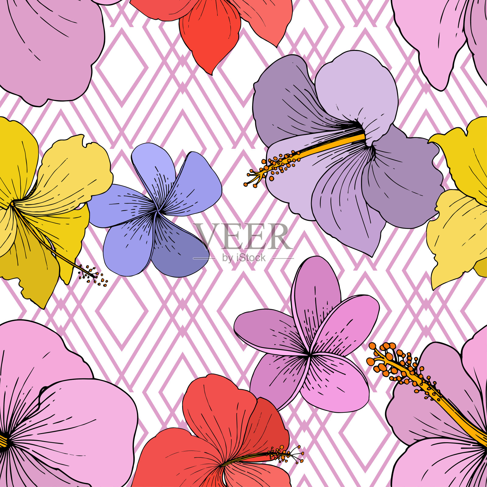 载体芙蓉花热带花卉。在白色背景上雕刻的水墨艺术。无缝的背景图案。插画图片素材