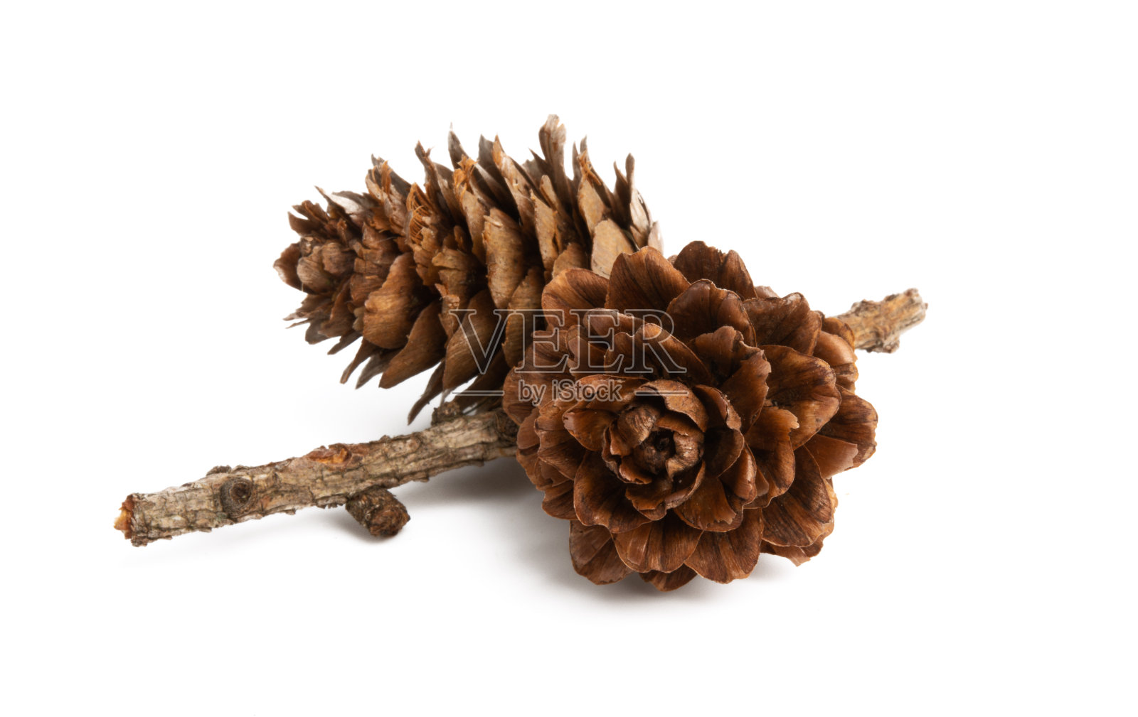 干锥孤立照片摄影图片