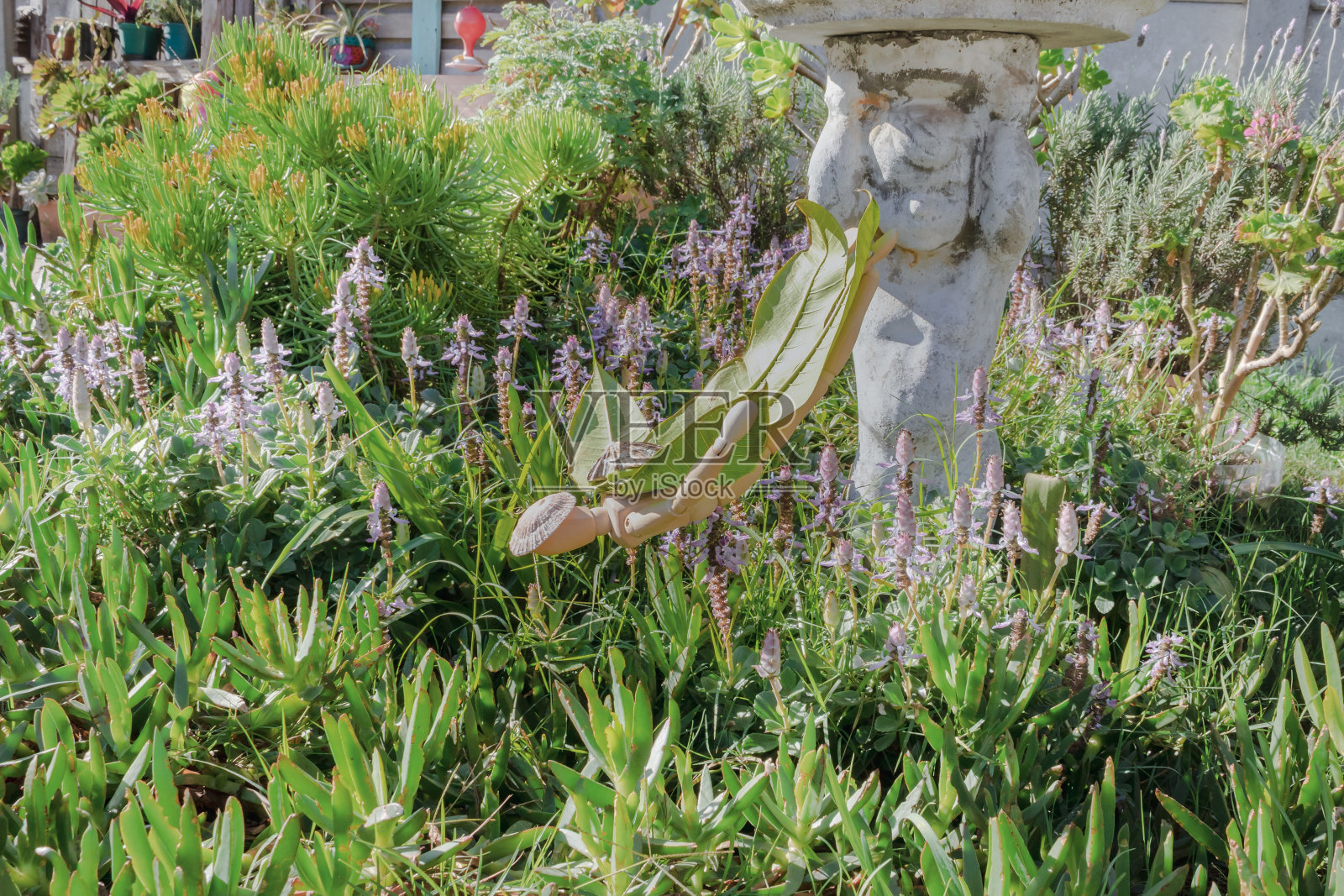 一个木制人体模型,穿着绿色的叶子翅膀套装在绿色的植物中飞行照片摄影图片