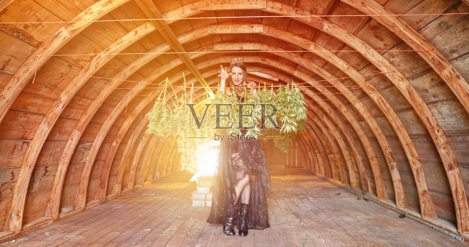 在干燥大麻植物上施咒的女巫师照片摄影图片