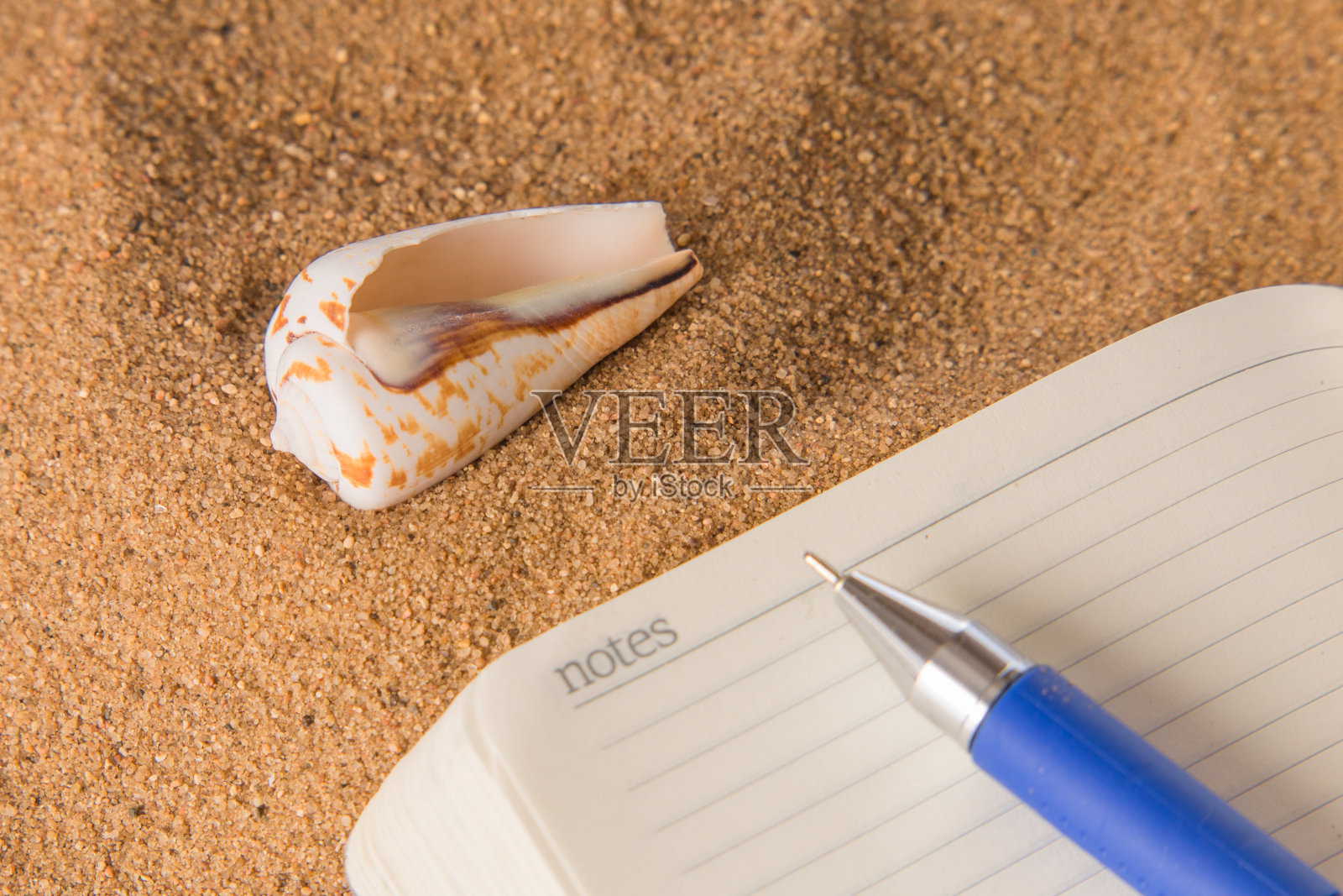 沙滩上的贝壳照片摄影图片