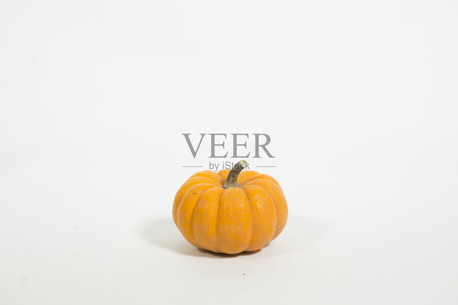 白底南瓜照片摄影图片