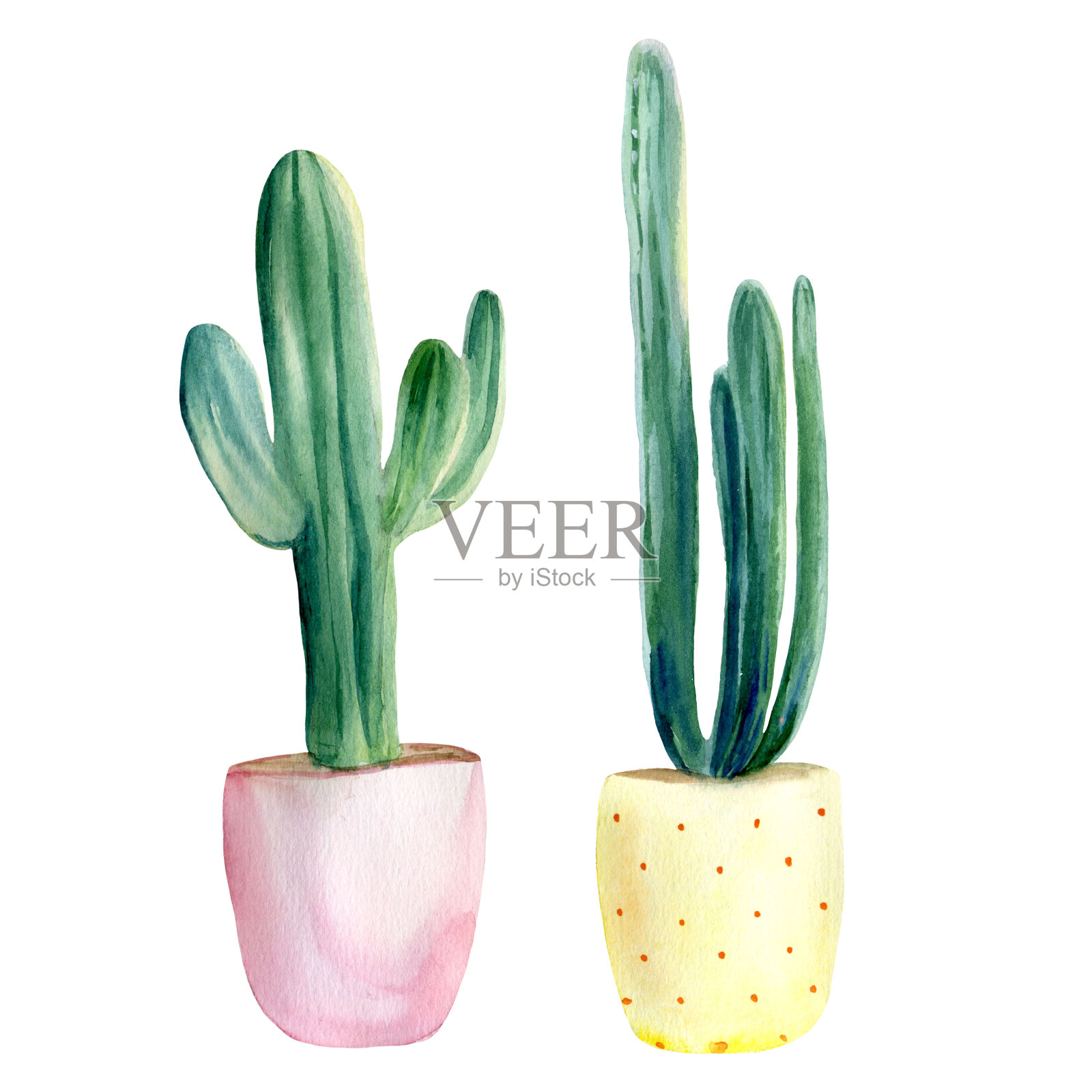 水彩手绘2仙人掌在粉红色和黄色花盆。设计元素图片