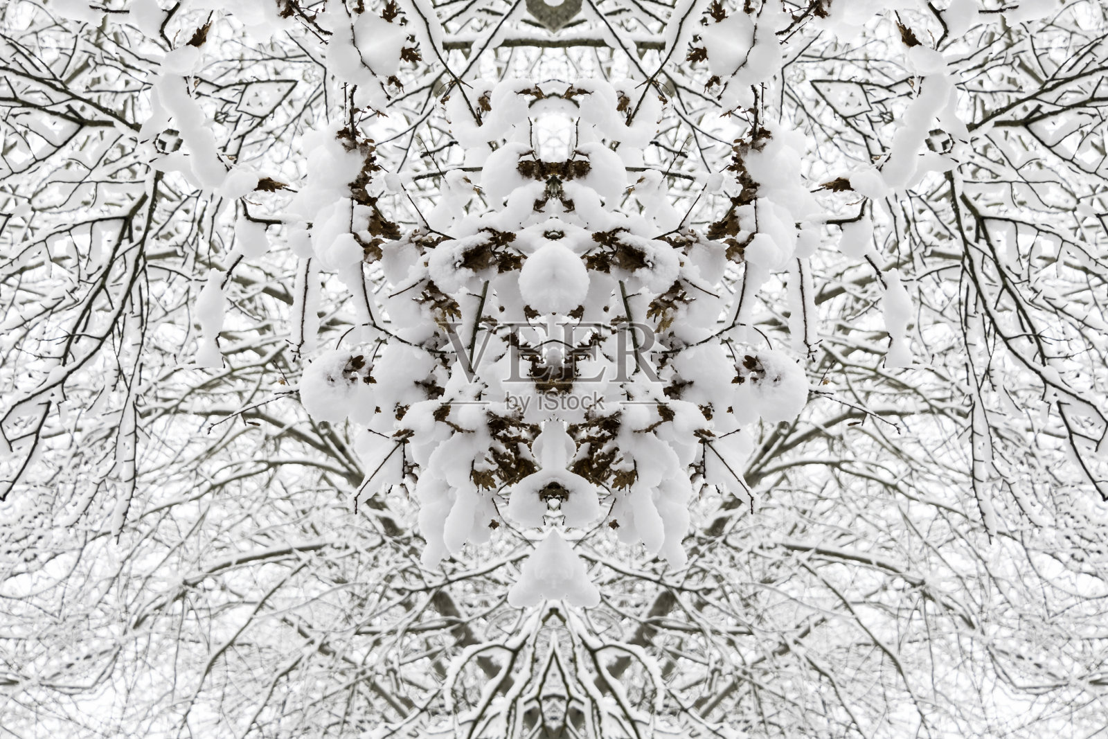 用雪和树装饰的镜像圣诞装饰照片摄影图片