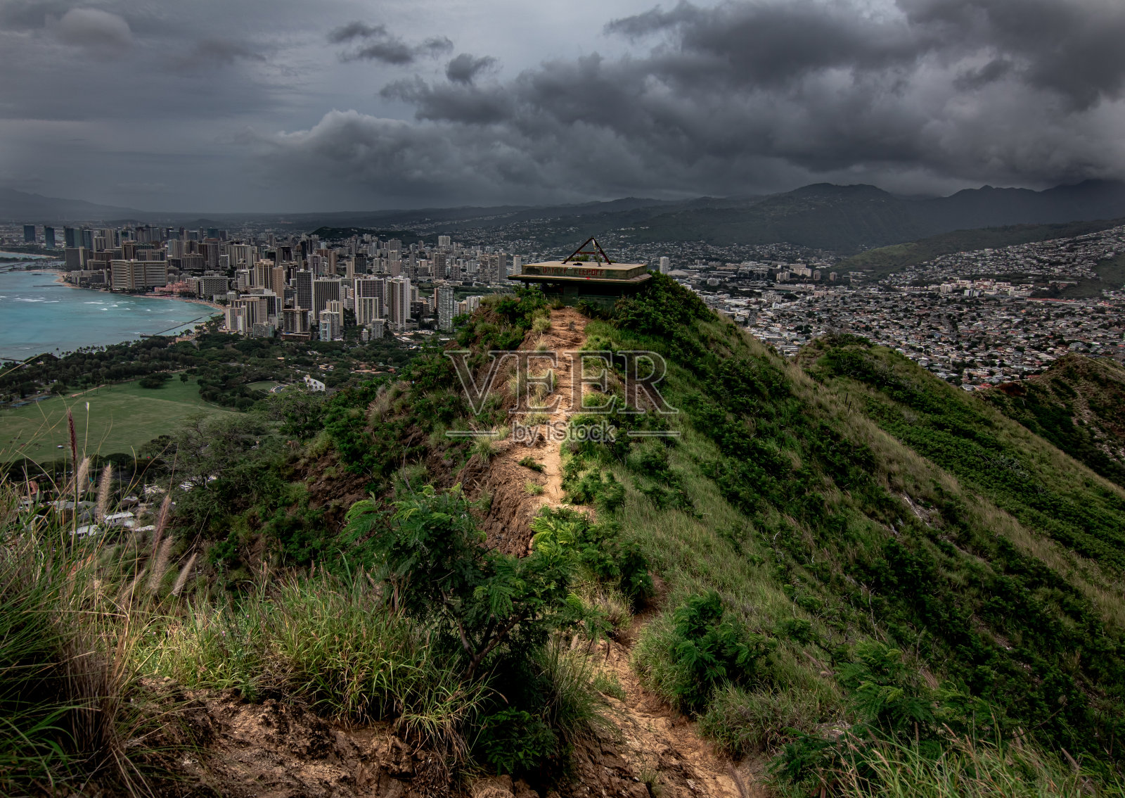 黑暗的自然与城市的融合。照片摄影图片