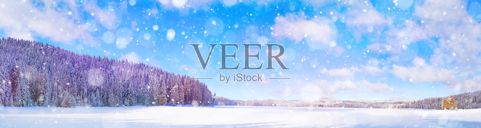 美丽的冬季景观与雪山森林照片摄影图片