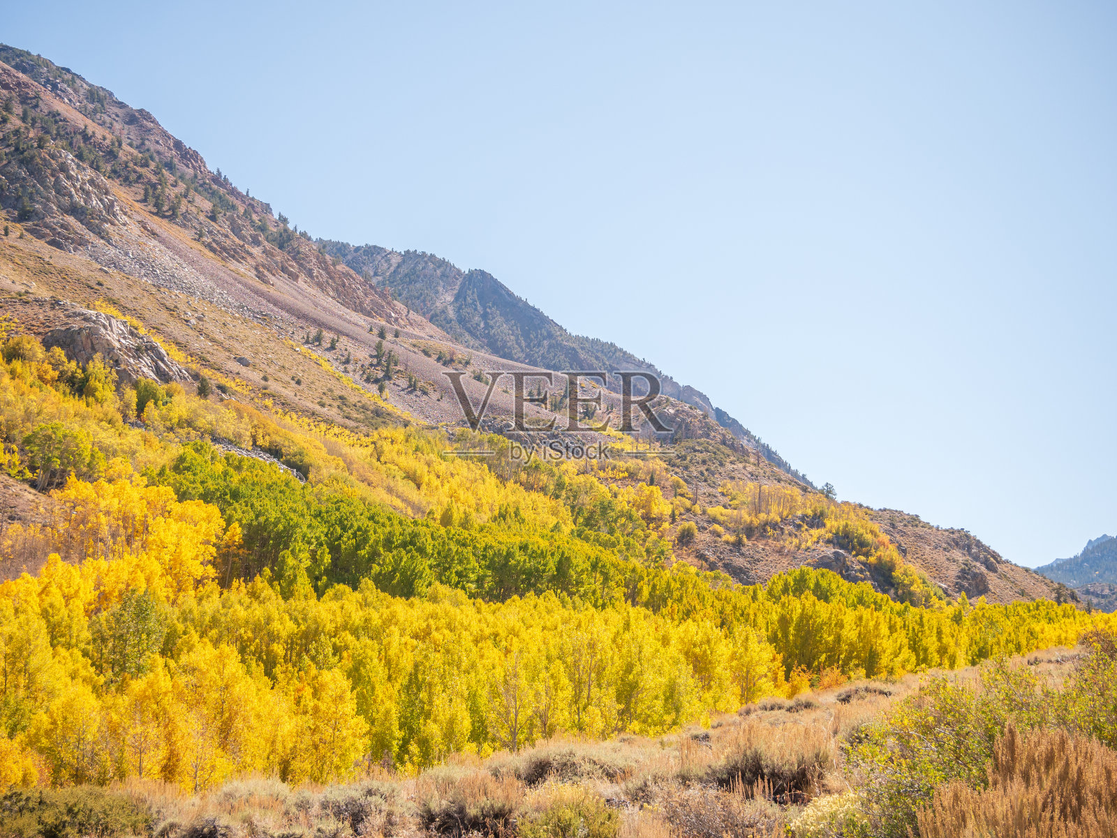 秋色加州主教照片摄影图片