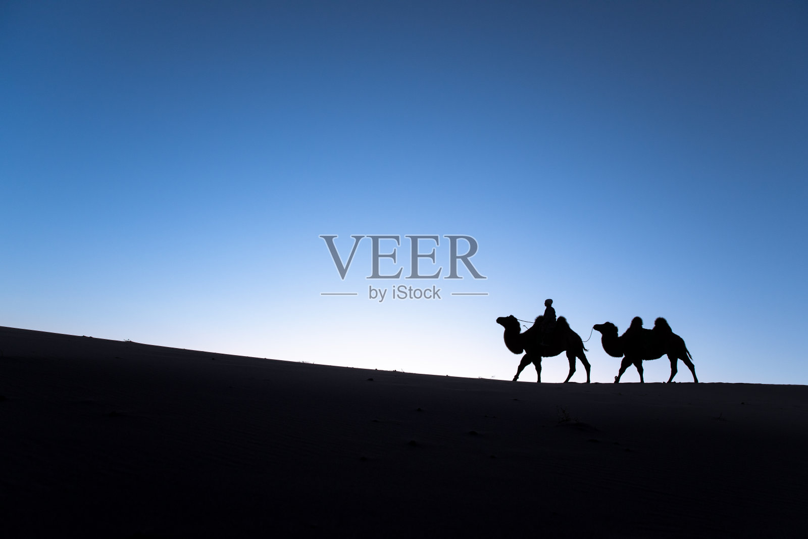 戈壁沙漠中的蒙古妇女和她的骆驼。照片摄影图片