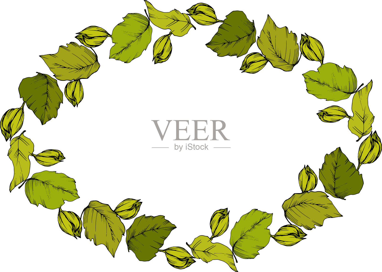 向量向日葵叶植物花。黑色和绿色雕刻水墨艺术。边框装饰方形。插画图片素材