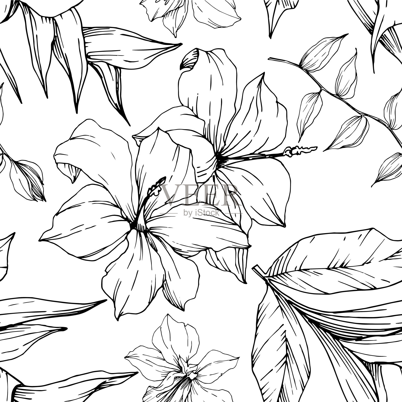 病媒热带花和叶孤立。黑白篆刻水墨艺术。无缝的背景图案。插画图片素材
