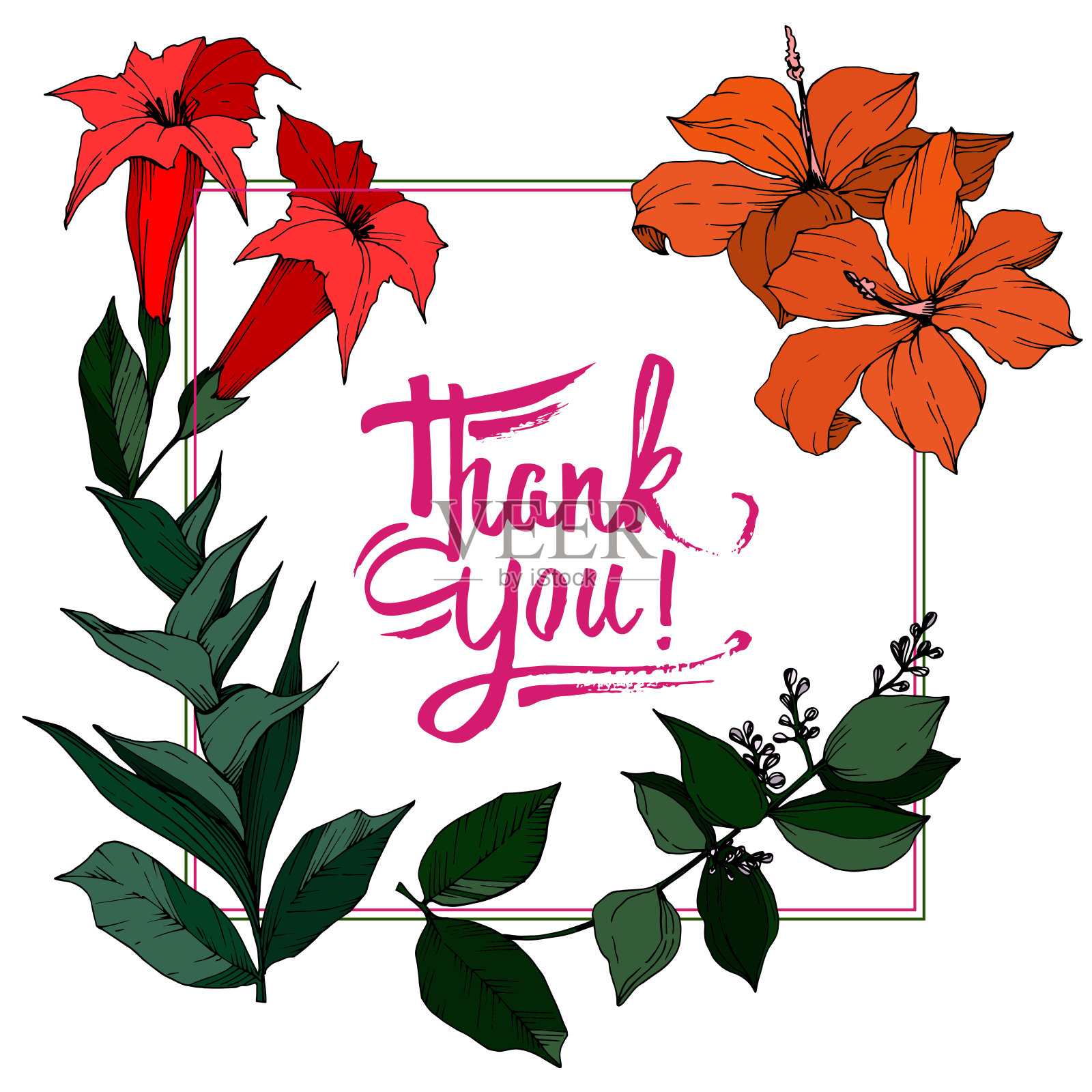 病媒热带花和叶孤立。黑白篆刻水墨艺术。边框装饰方形。插画图片素材