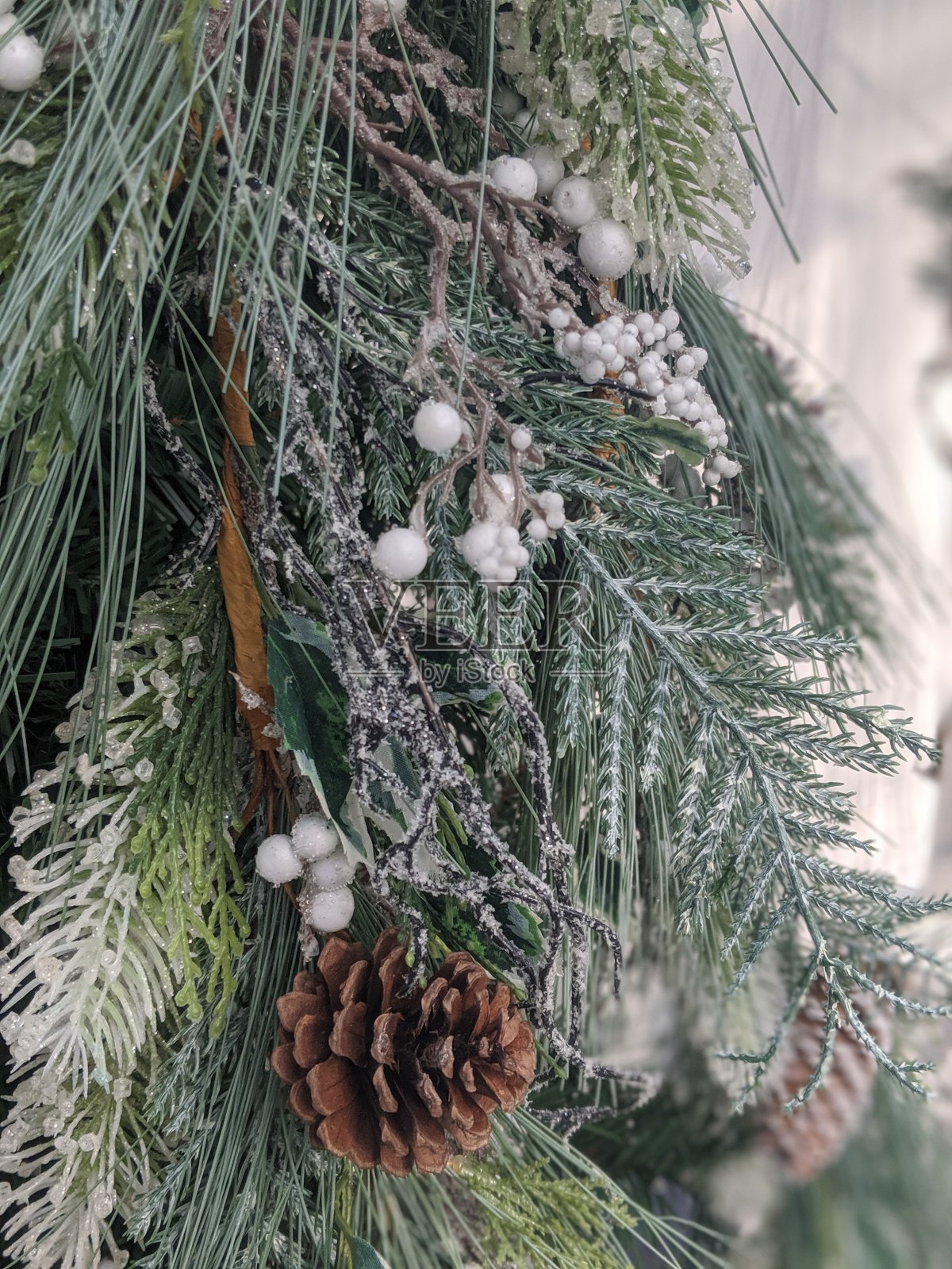 圣诞节的绿色照片摄影图片