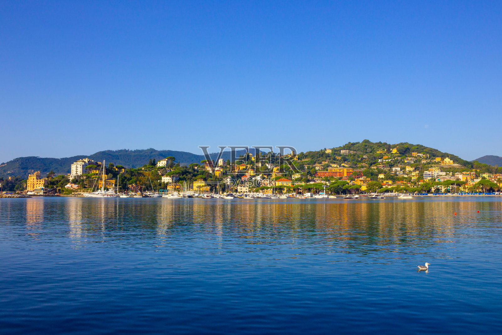 意大利拉帕洛镇的旅游景观照片摄影图片