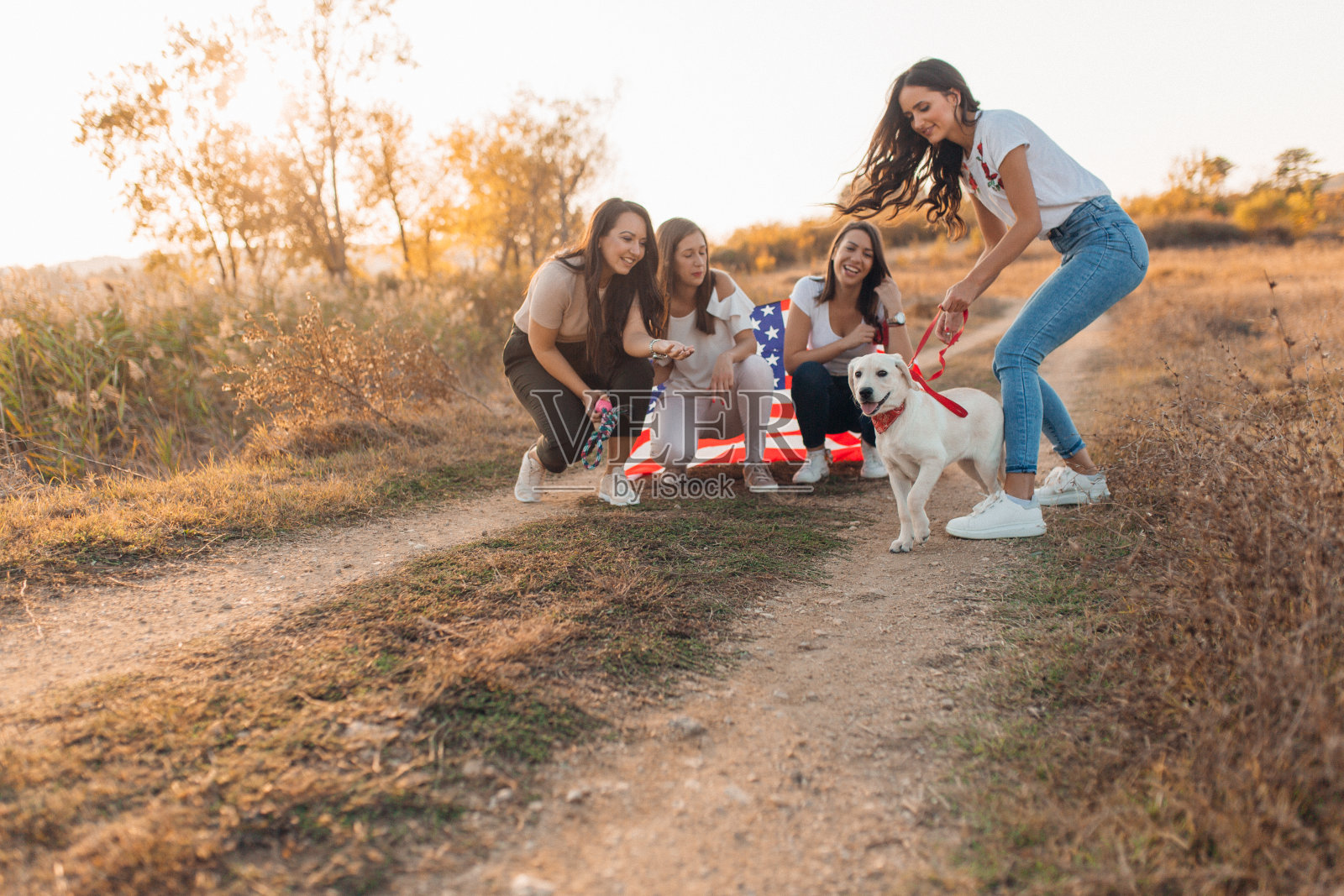 四个女朋友带着一只拉布拉多小狗散步照片摄影图片