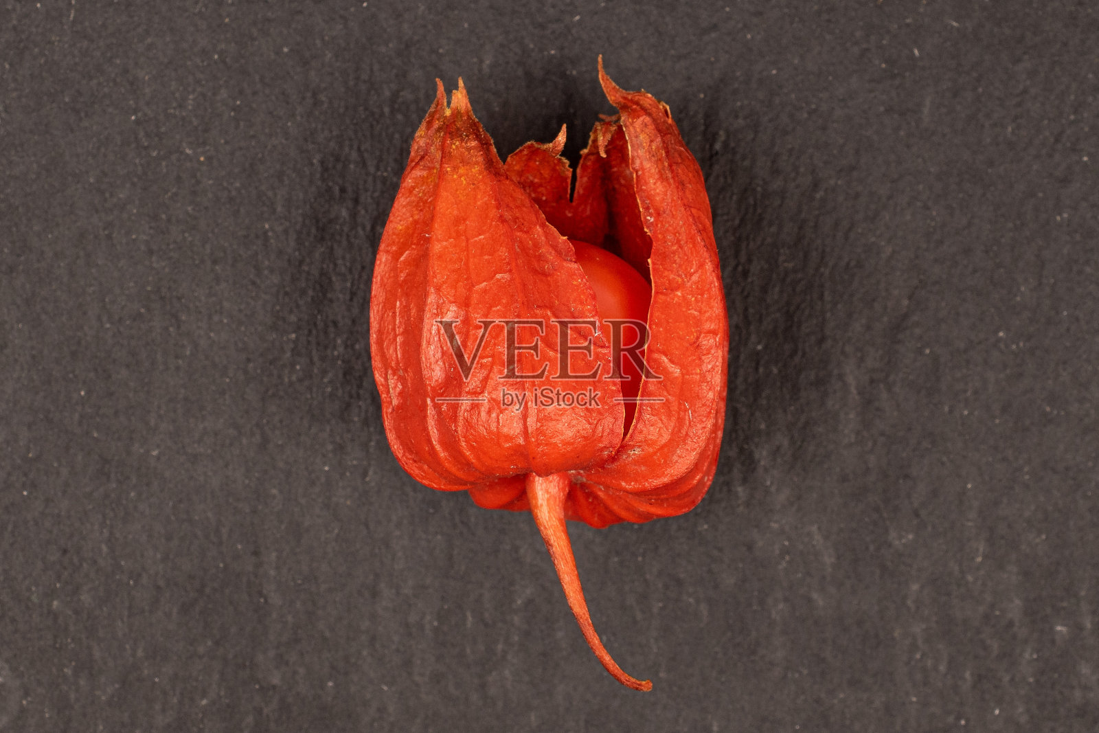 灰色的石头上有新鲜的橙色酸浆照片摄影图片