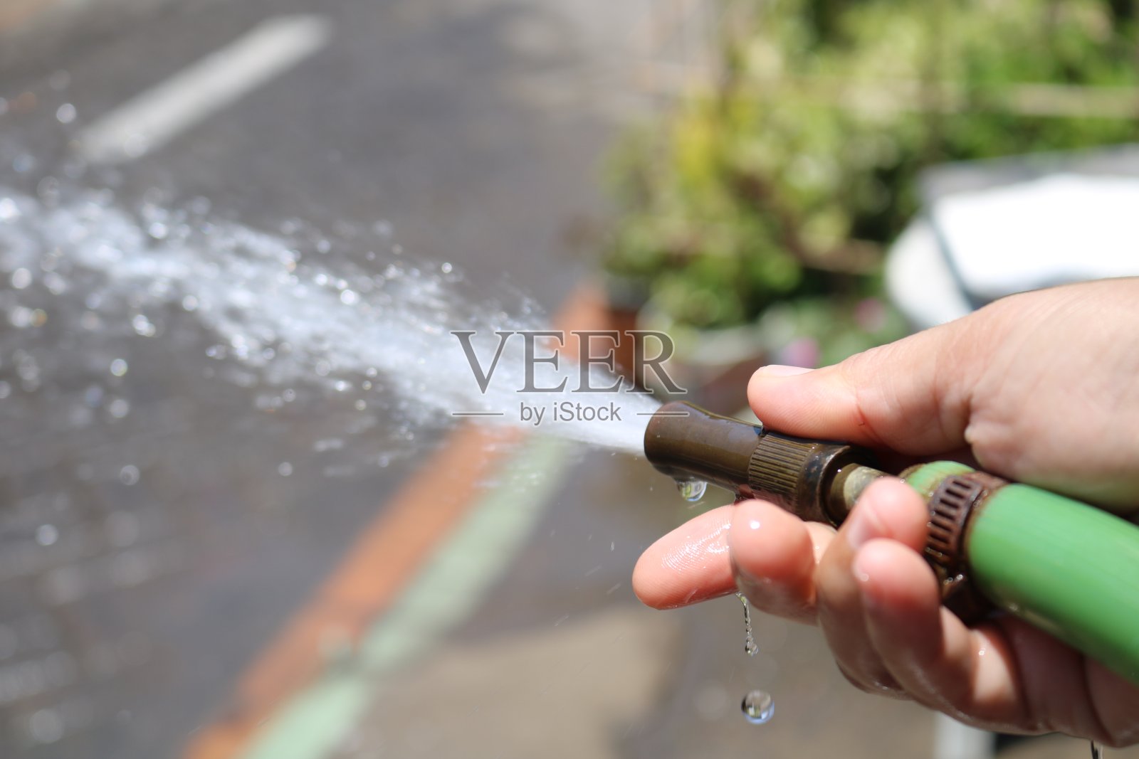 用绿色软管向土壤和植物浇水照片摄影图片