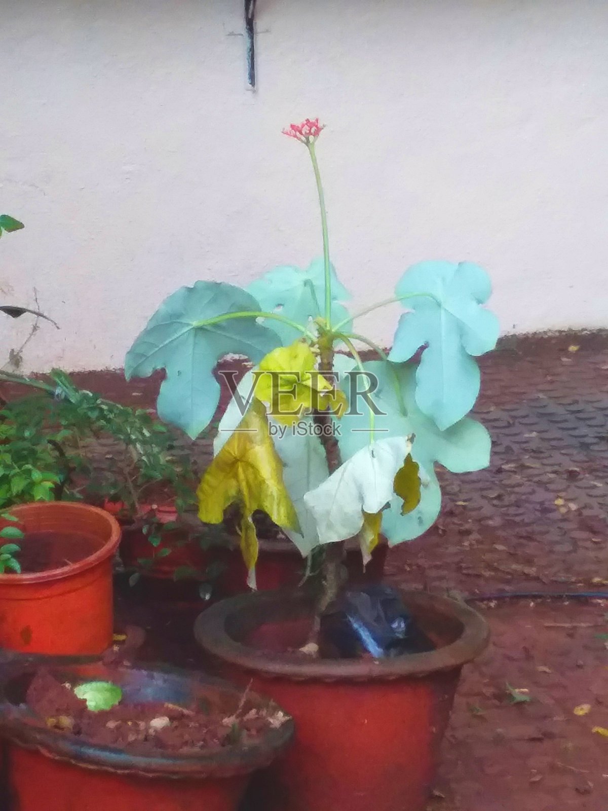 一个小工厂照片摄影图片