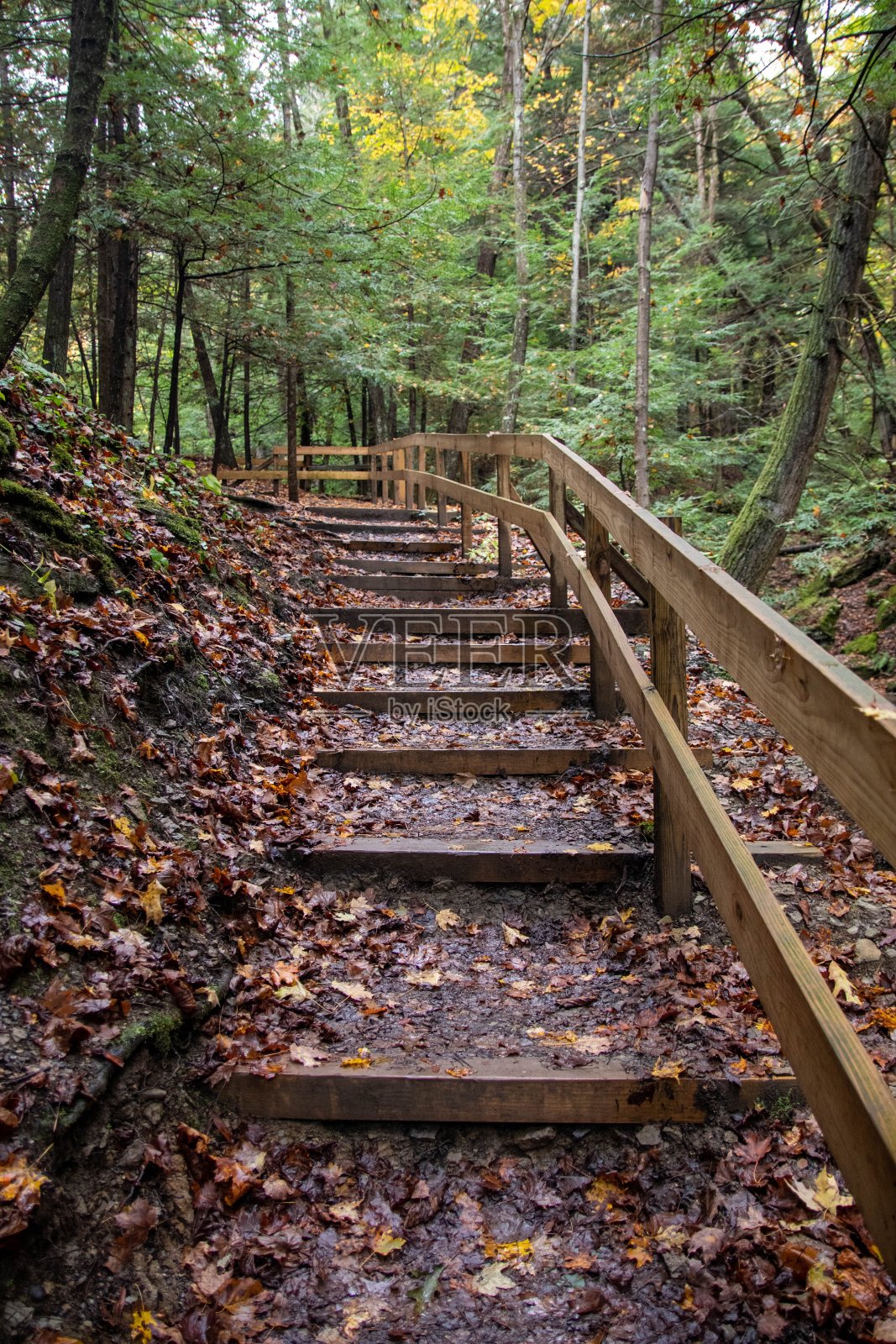 秋天的痕迹楼梯照片摄影图片