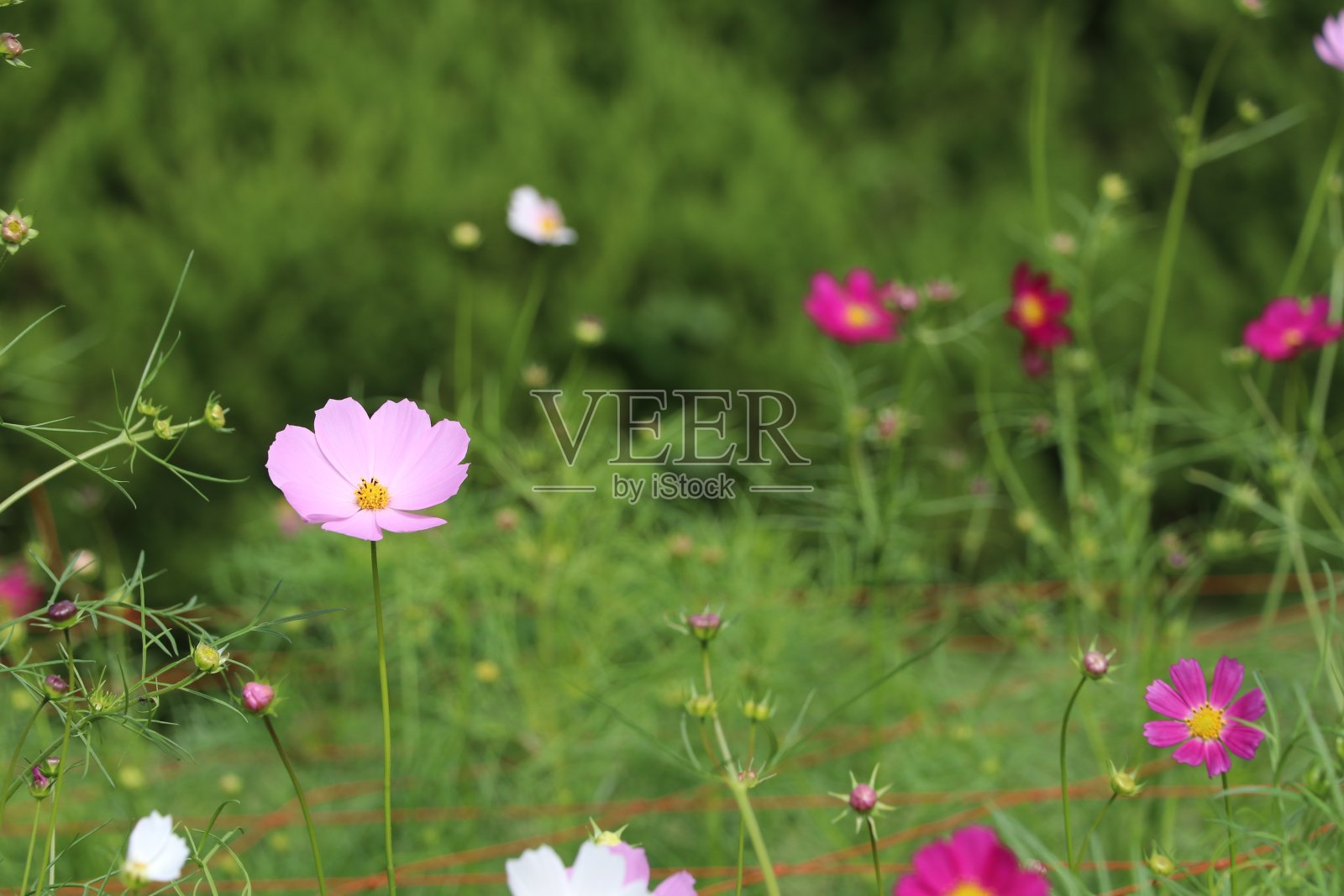 宇宙照片摄影图片