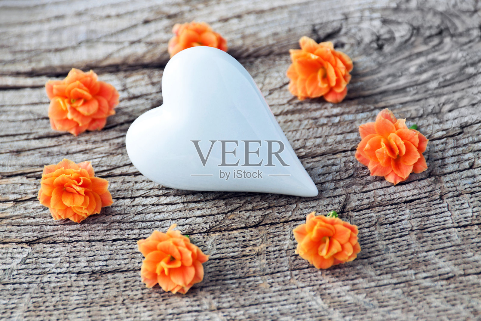 白色的心和七朵花照片摄影图片