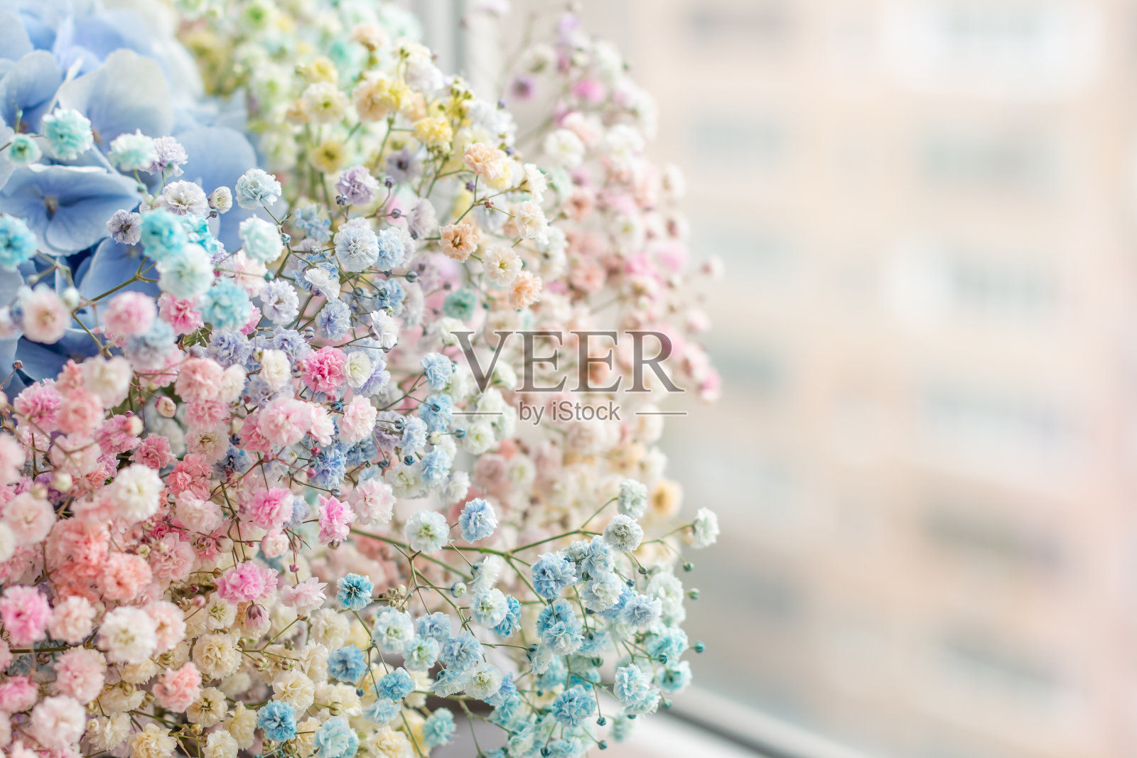 一束娇艳的小花照片摄影图片