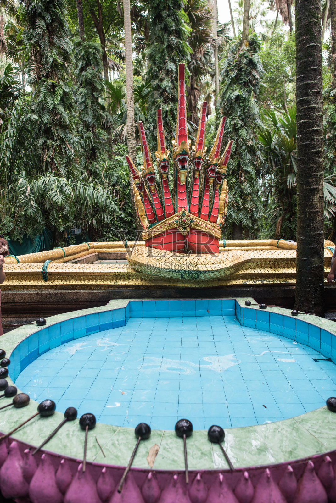 什么卡姆查诺照片摄影图片