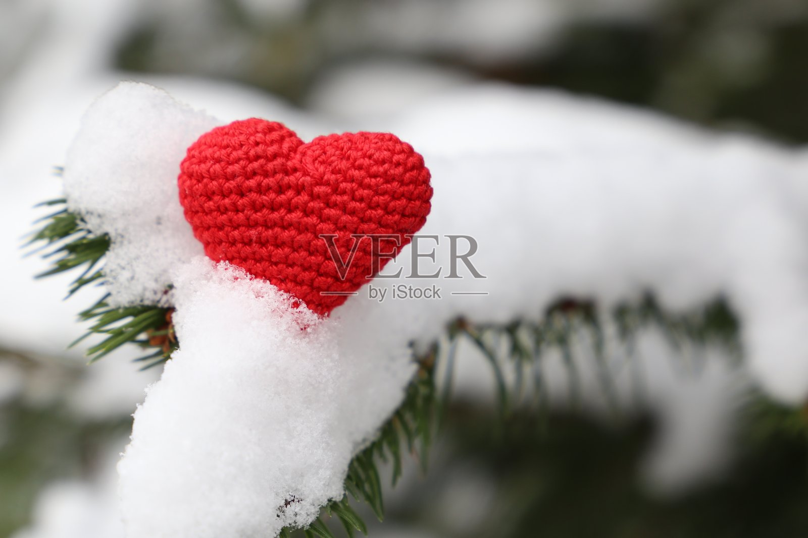 爱的心,圣诞贺卡,象征爱的红色编织在雪花上的冷杉枝头照片摄影图片