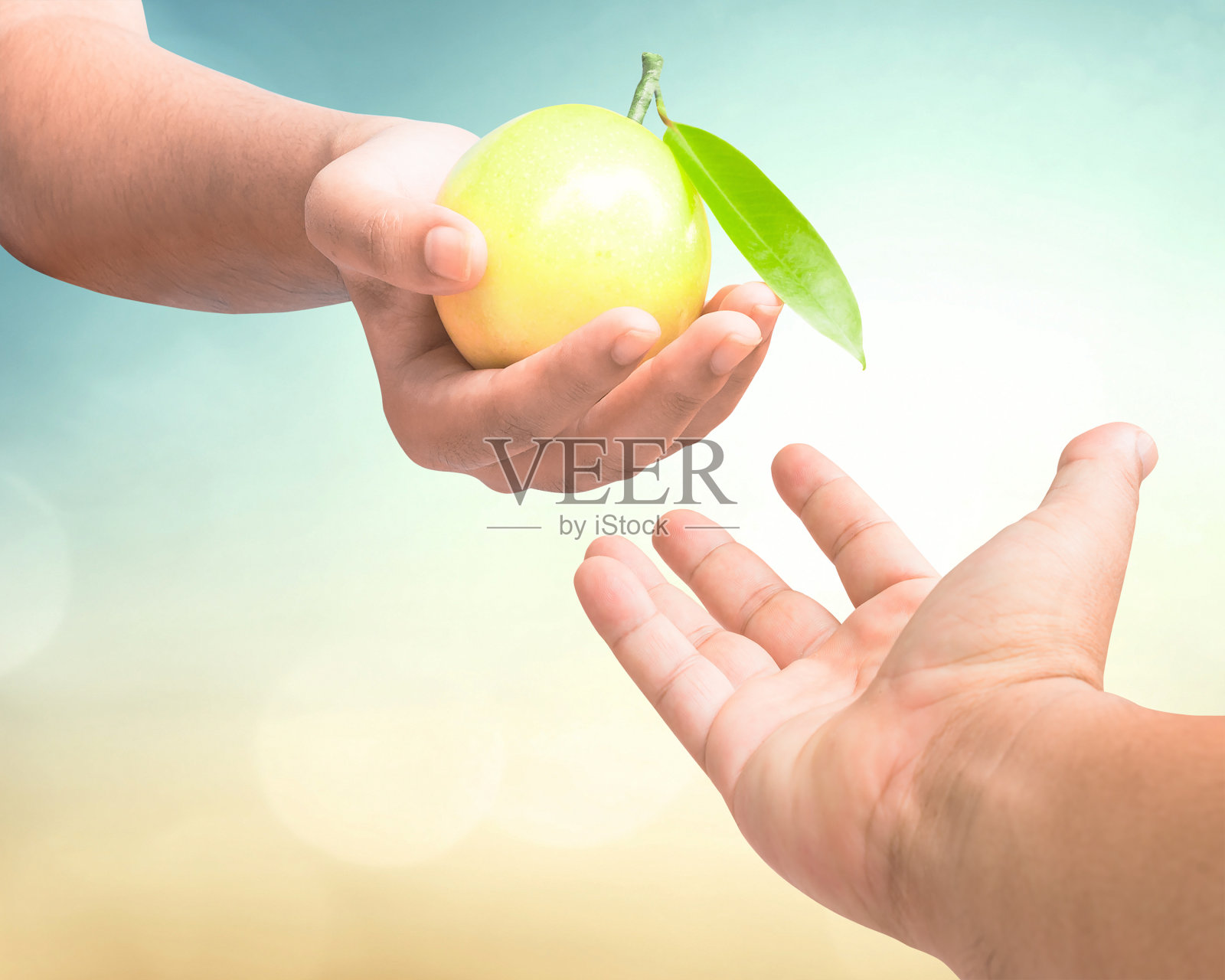 圣经概念的故事照片摄影图片