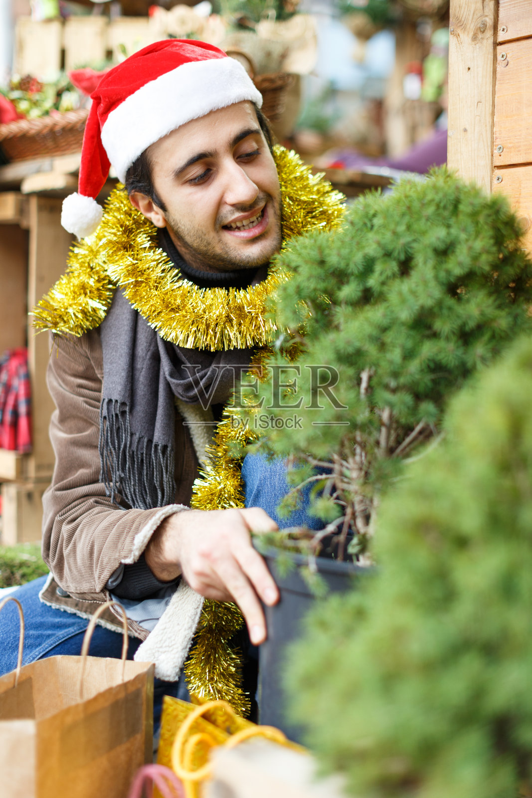 年轻人在圣诞市场挑选小圣诞树照片摄影图片