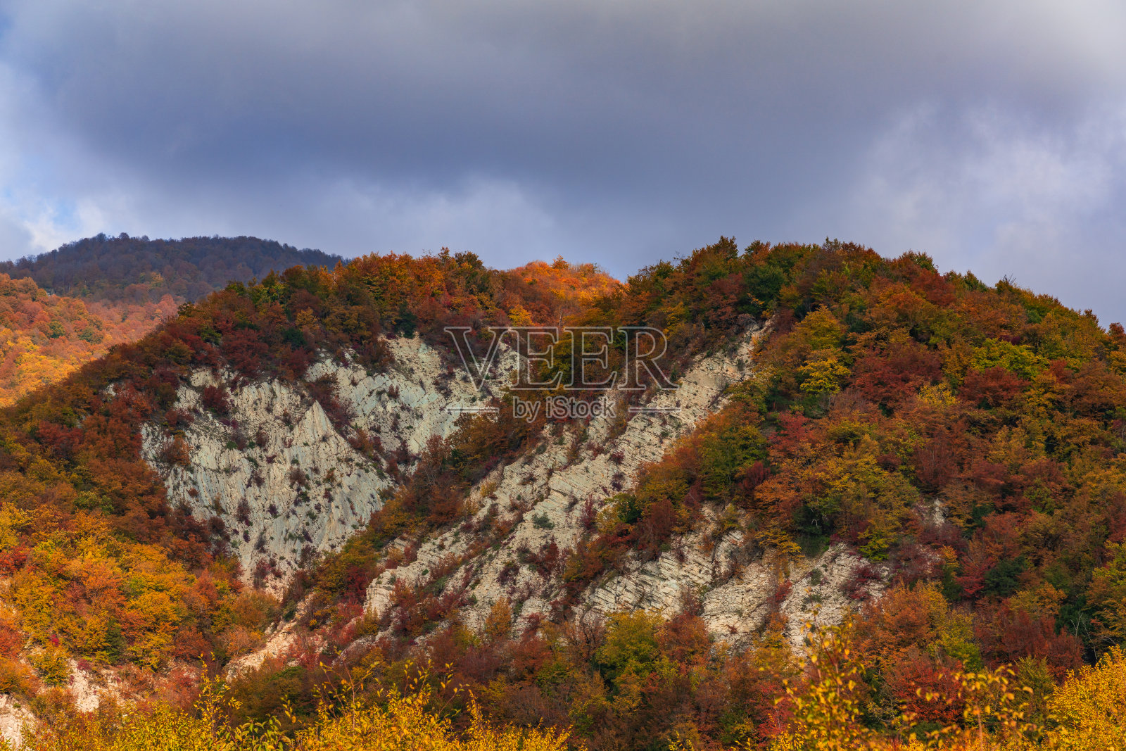 山上覆盖着五颜六色的秋天森林照片摄影图片