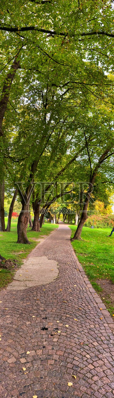 秋色公园照片摄影图片