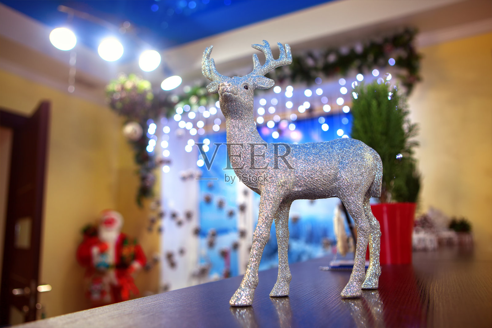 圣诞鹿照片摄影图片