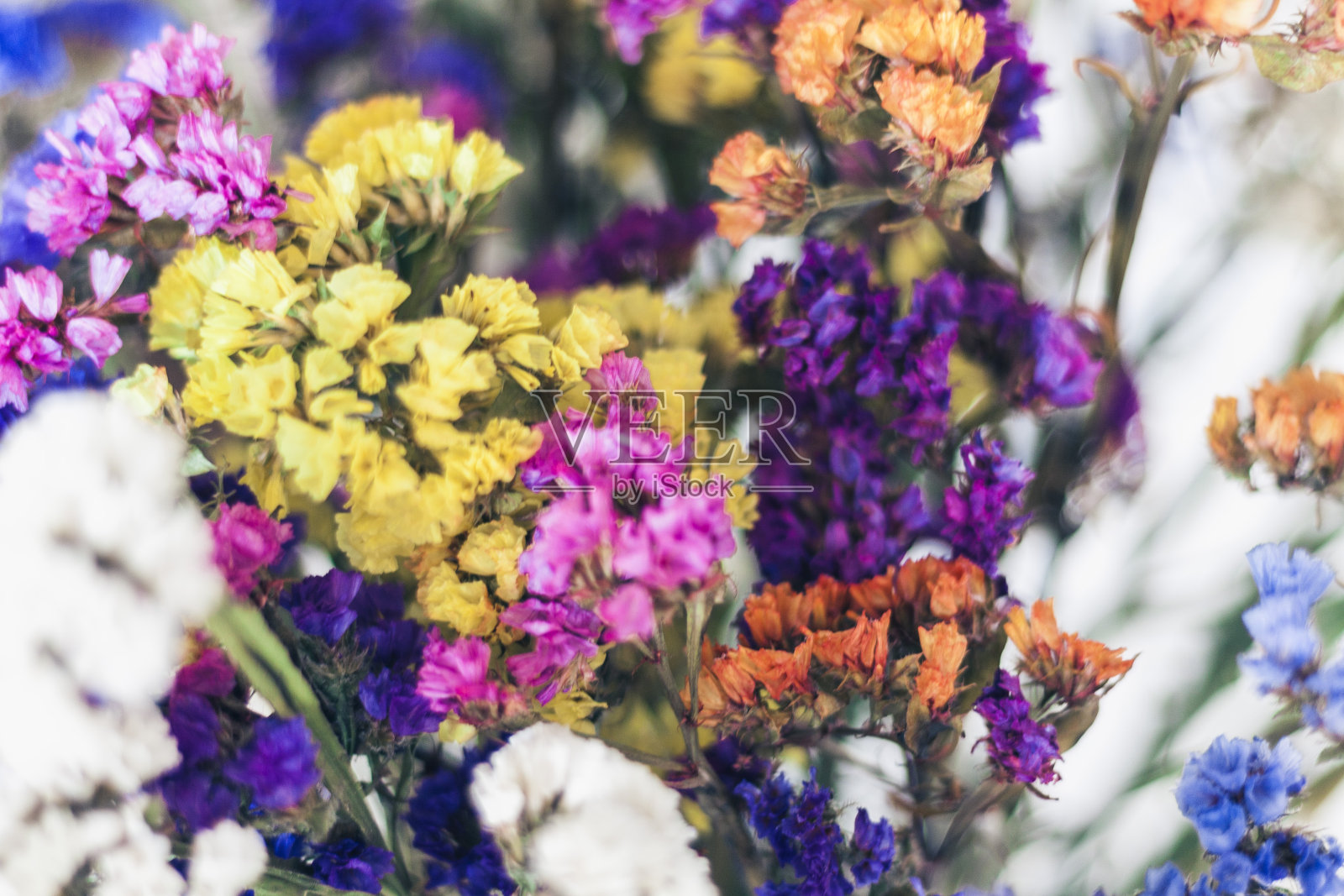 近距离的彩色干花花束背景纹理照片摄影图片