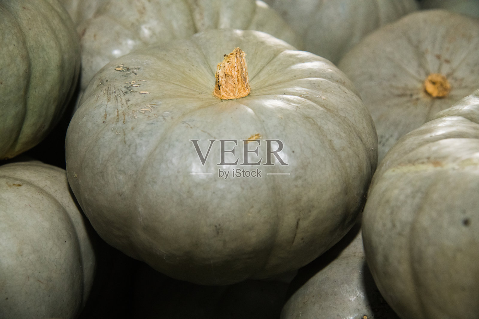 新鲜的灰色南瓜作为背景照片摄影图片