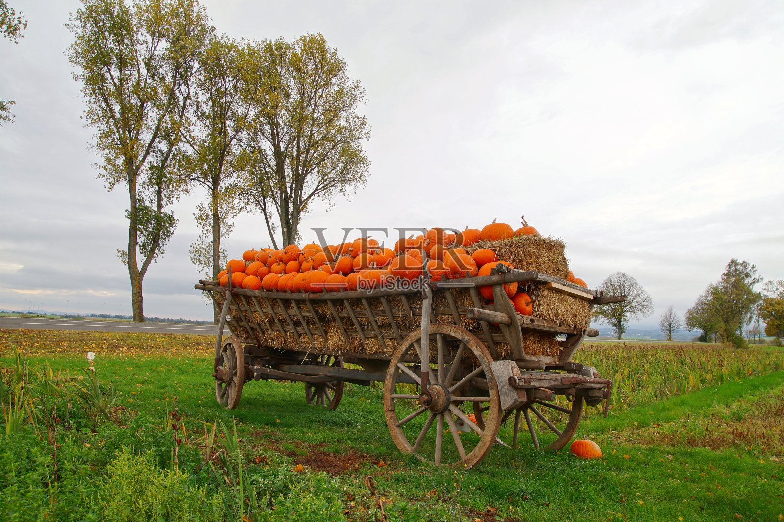 万圣节,古老的南瓜马车。古老的装饰马车作为一个创造性的装饰葫芦在秋天。照片摄影图片