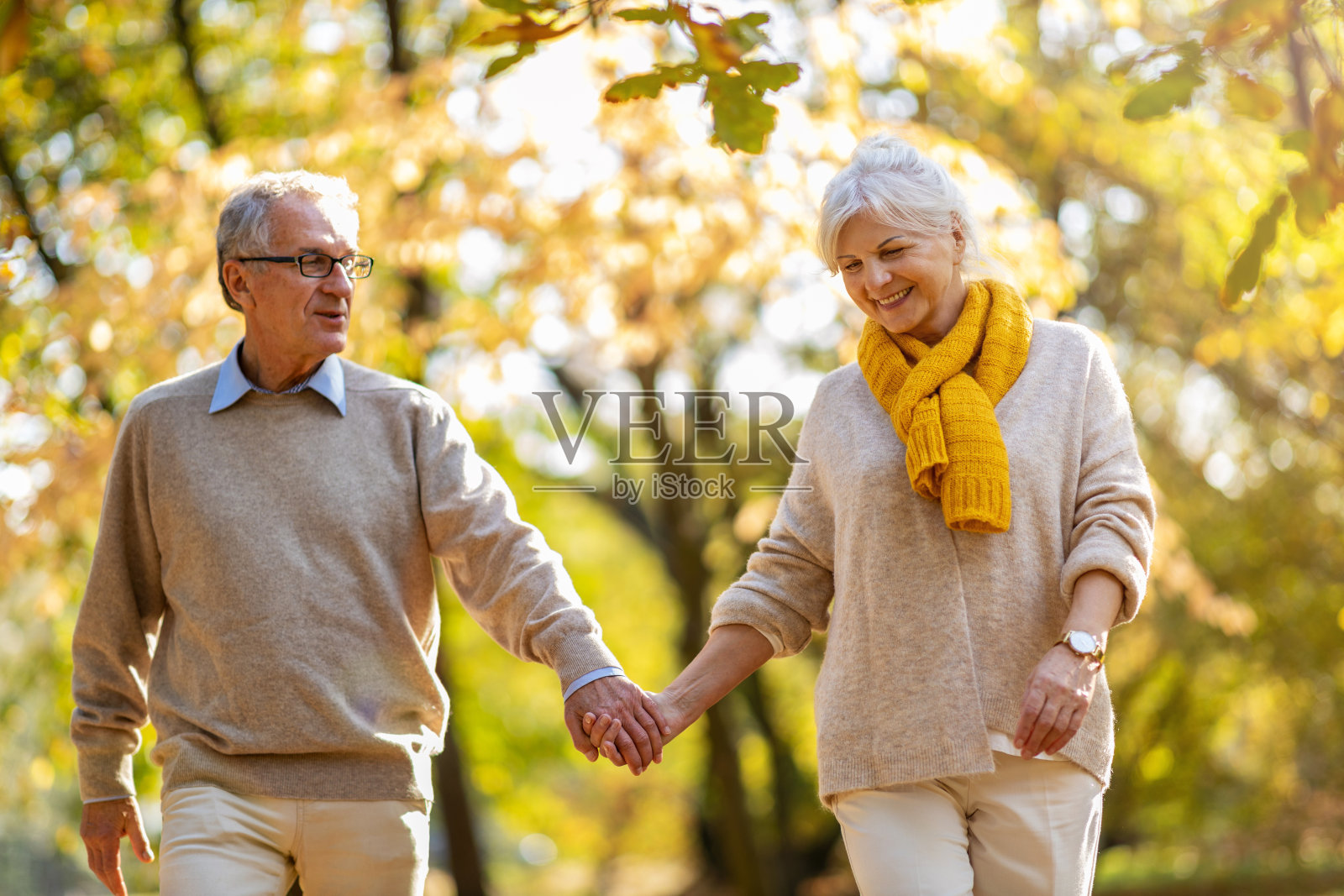 快乐的老年夫妇在秋季公园照片摄影图片