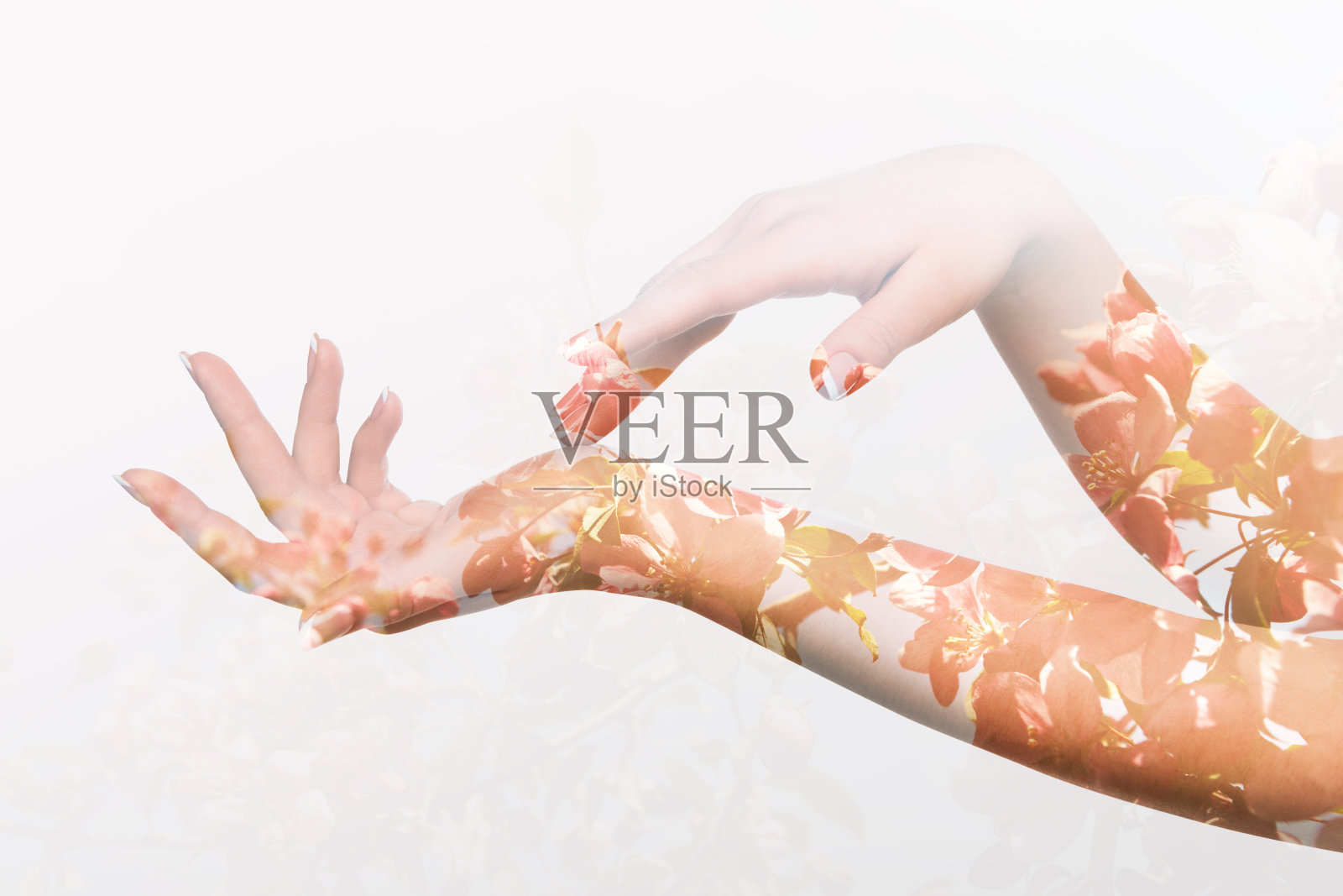 双曝光效果的轮廓两个女性的手照片摄影图片