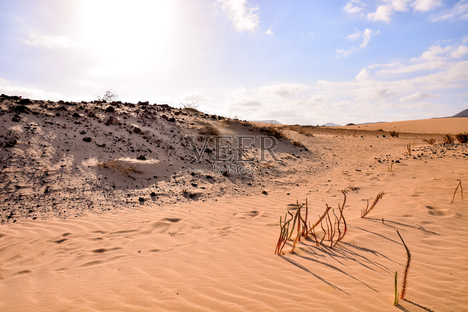 西班牙热带火山加那利群岛的景观照片摄影图片