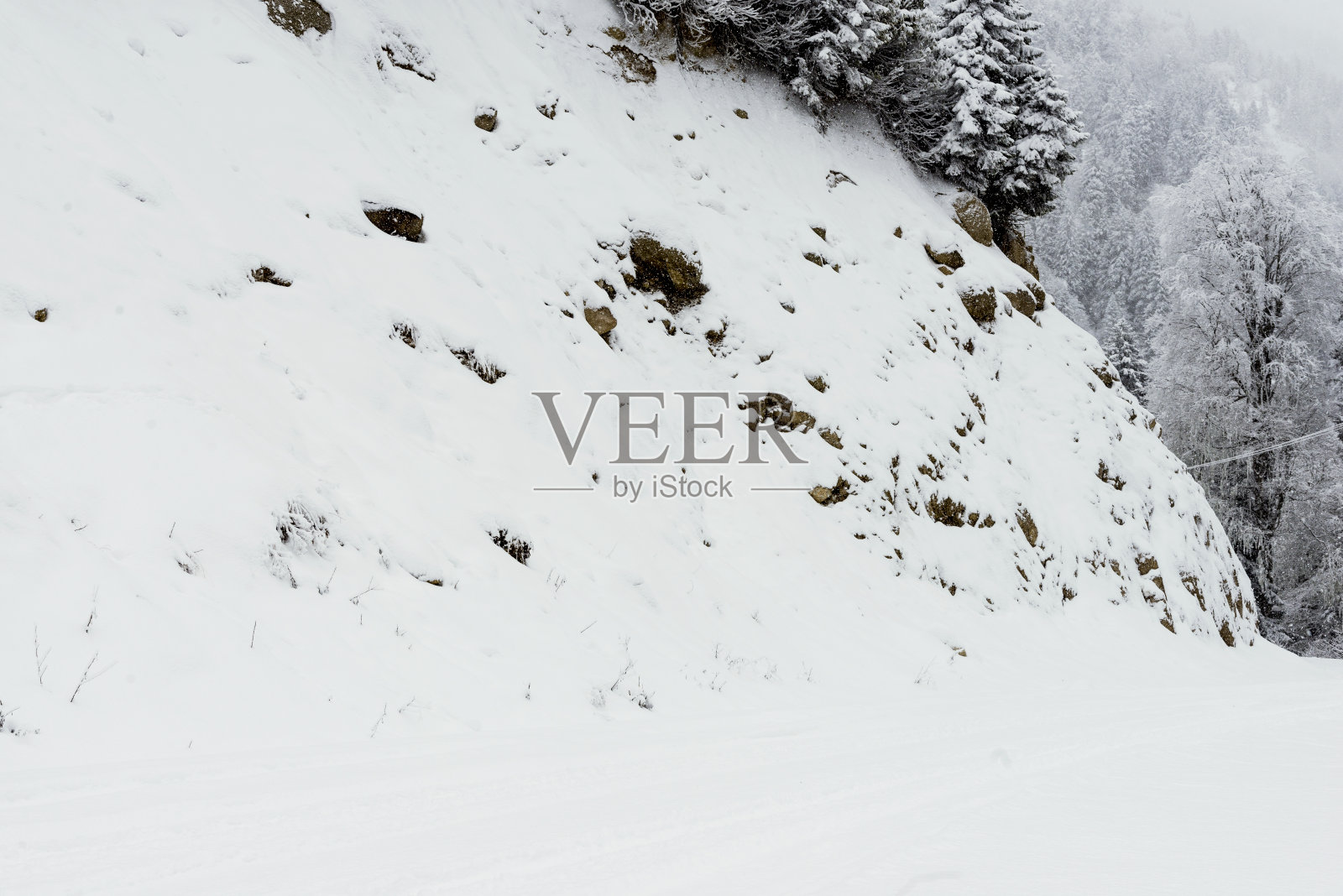 雪山和松树的风景。照片摄影图片