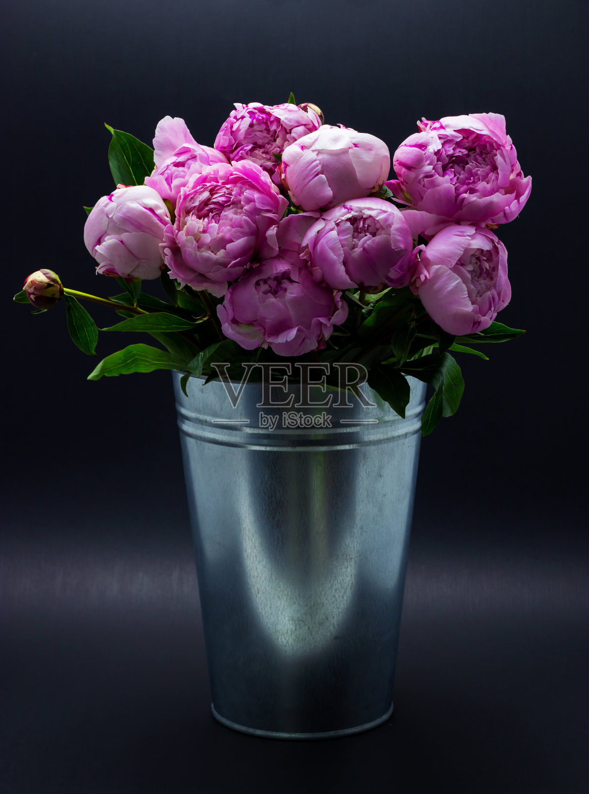 花瓶里的粉色牡丹。牡丹粉红色背景。照片摄影图片