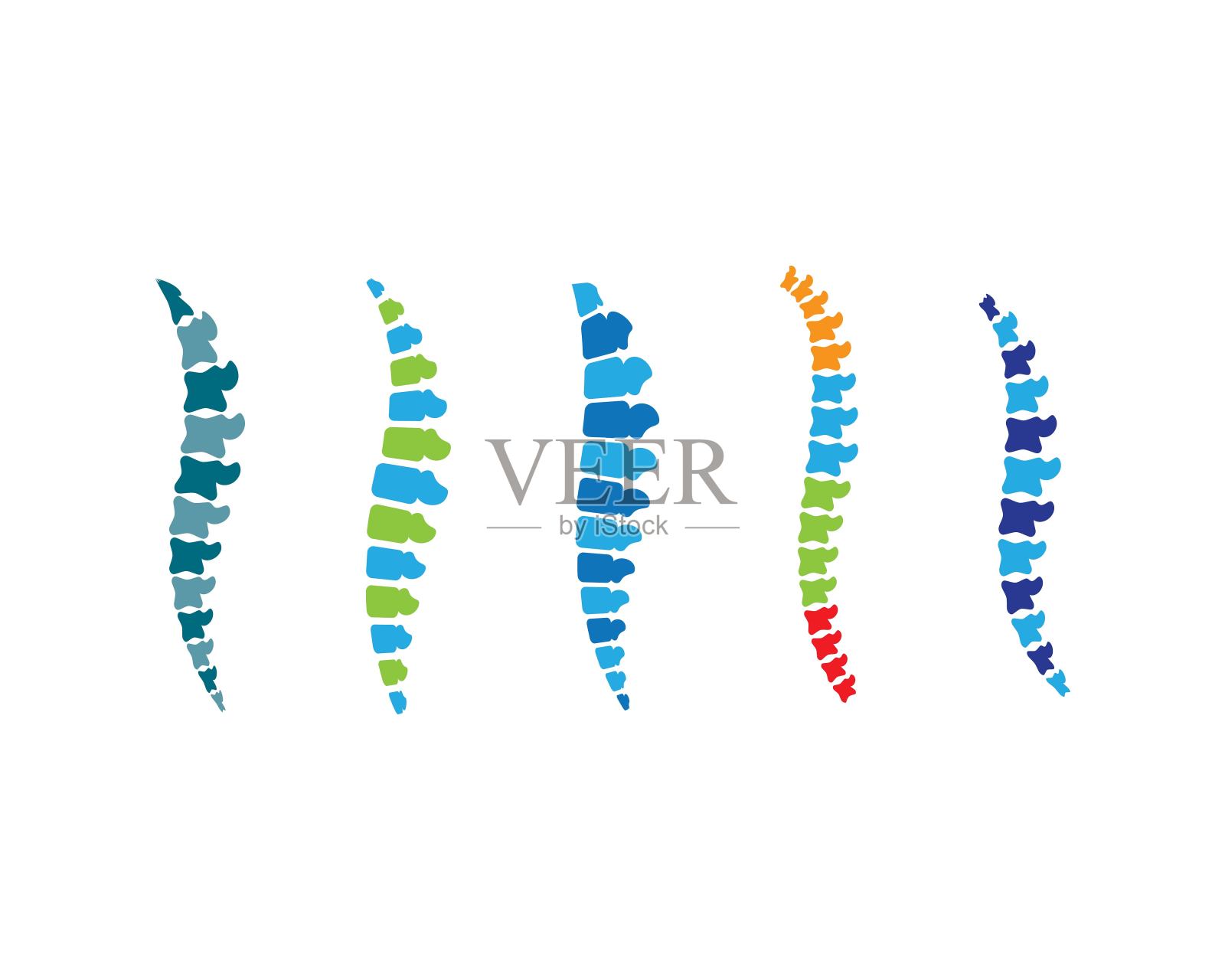 脊柱符号说明插画图片素材