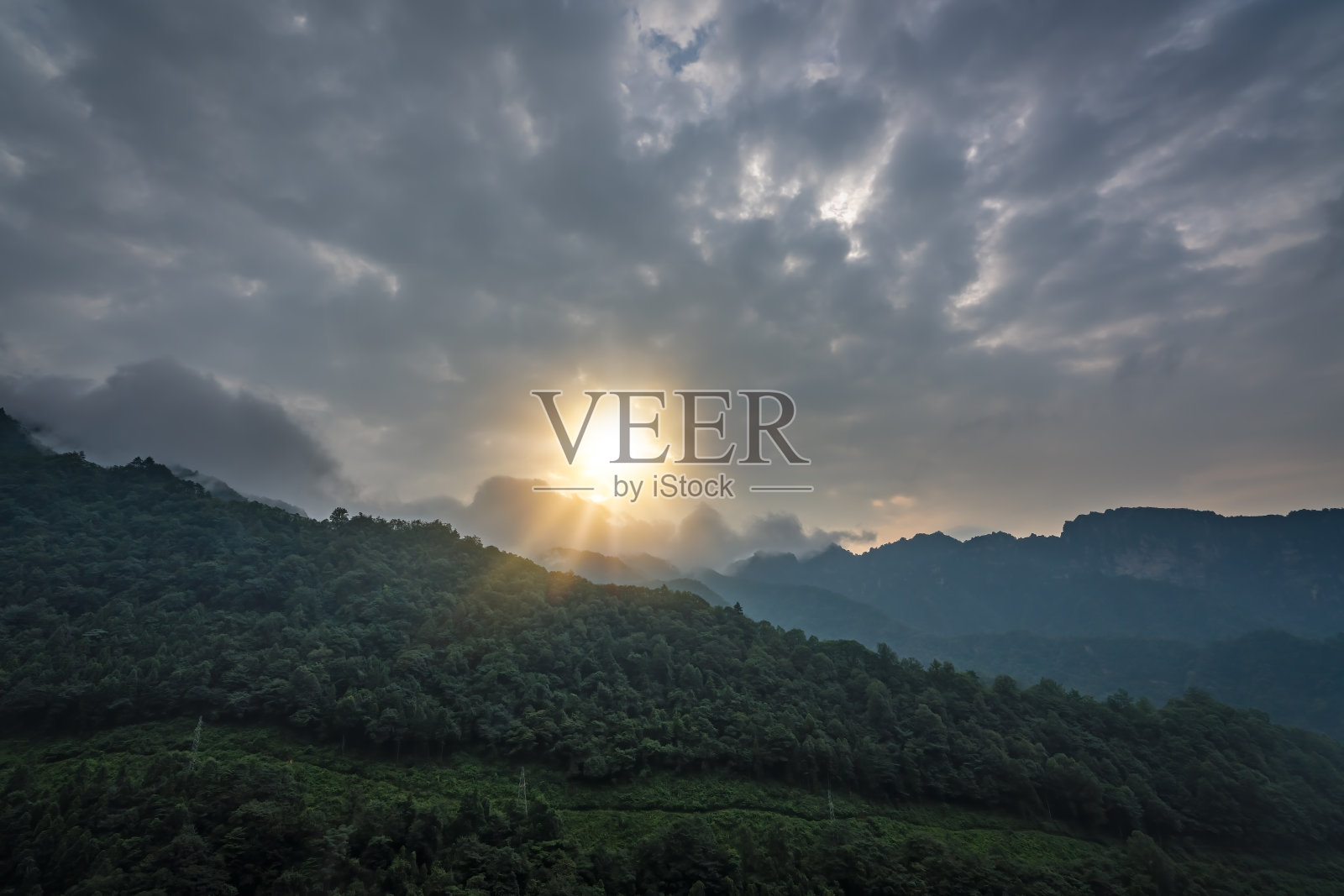 清晨在天子山照片摄影图片