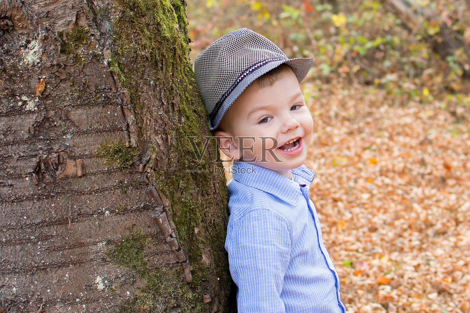 在秋天的森林里,小男孩戴着帽子,手里拿着一个玩具照片摄影图片