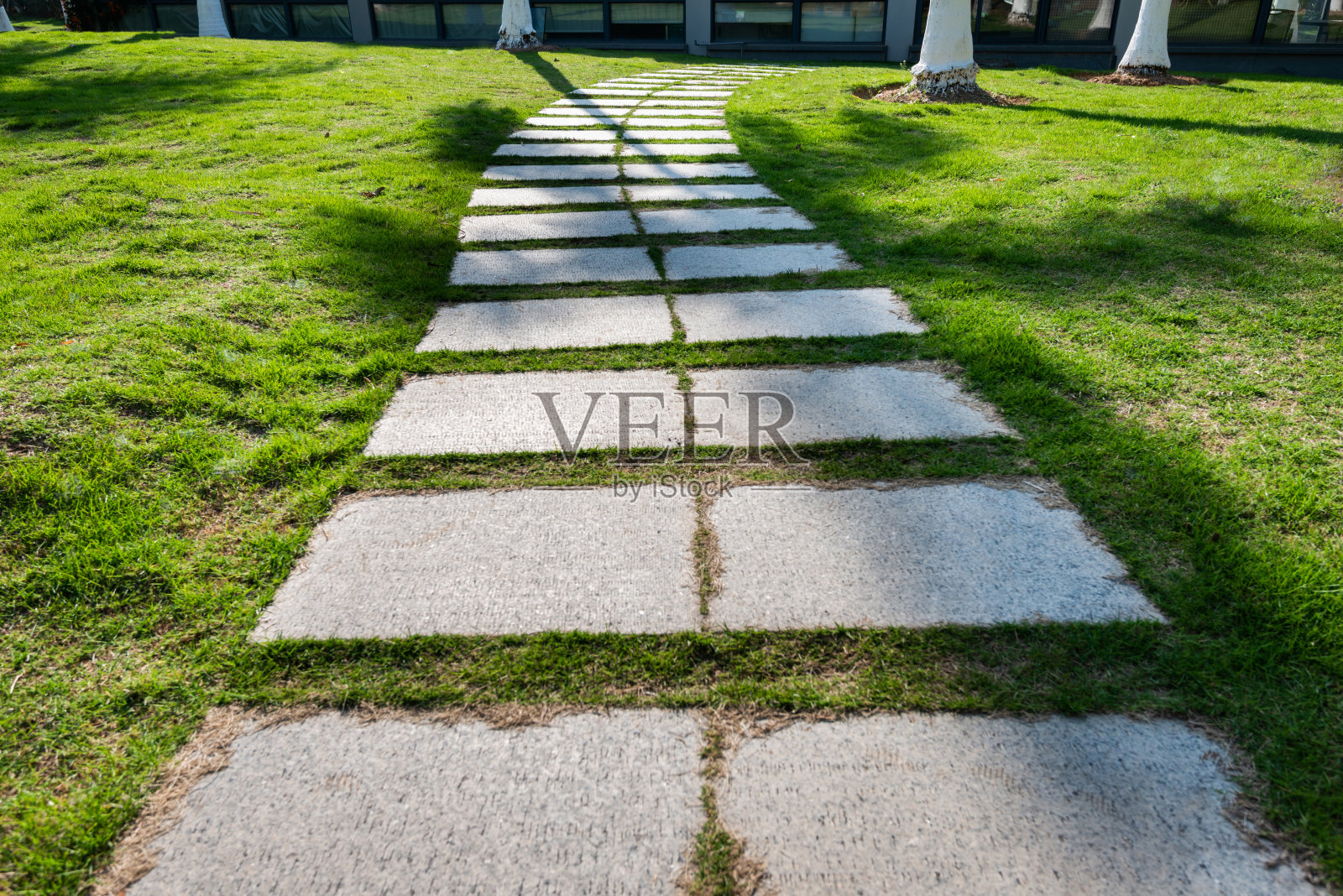 穿过绿色草坪的石头小径照片摄影图片