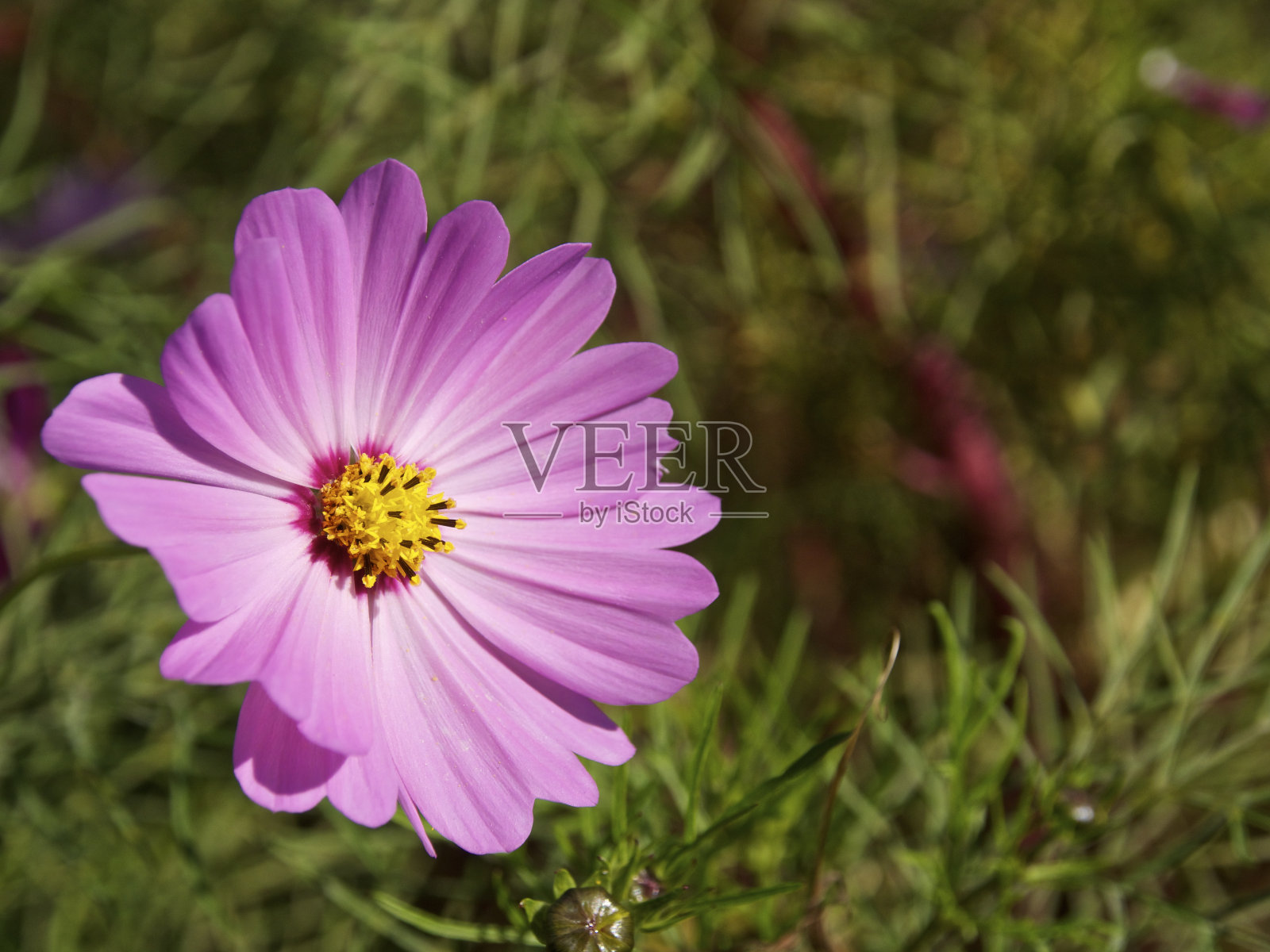 宇宙照片摄影图片