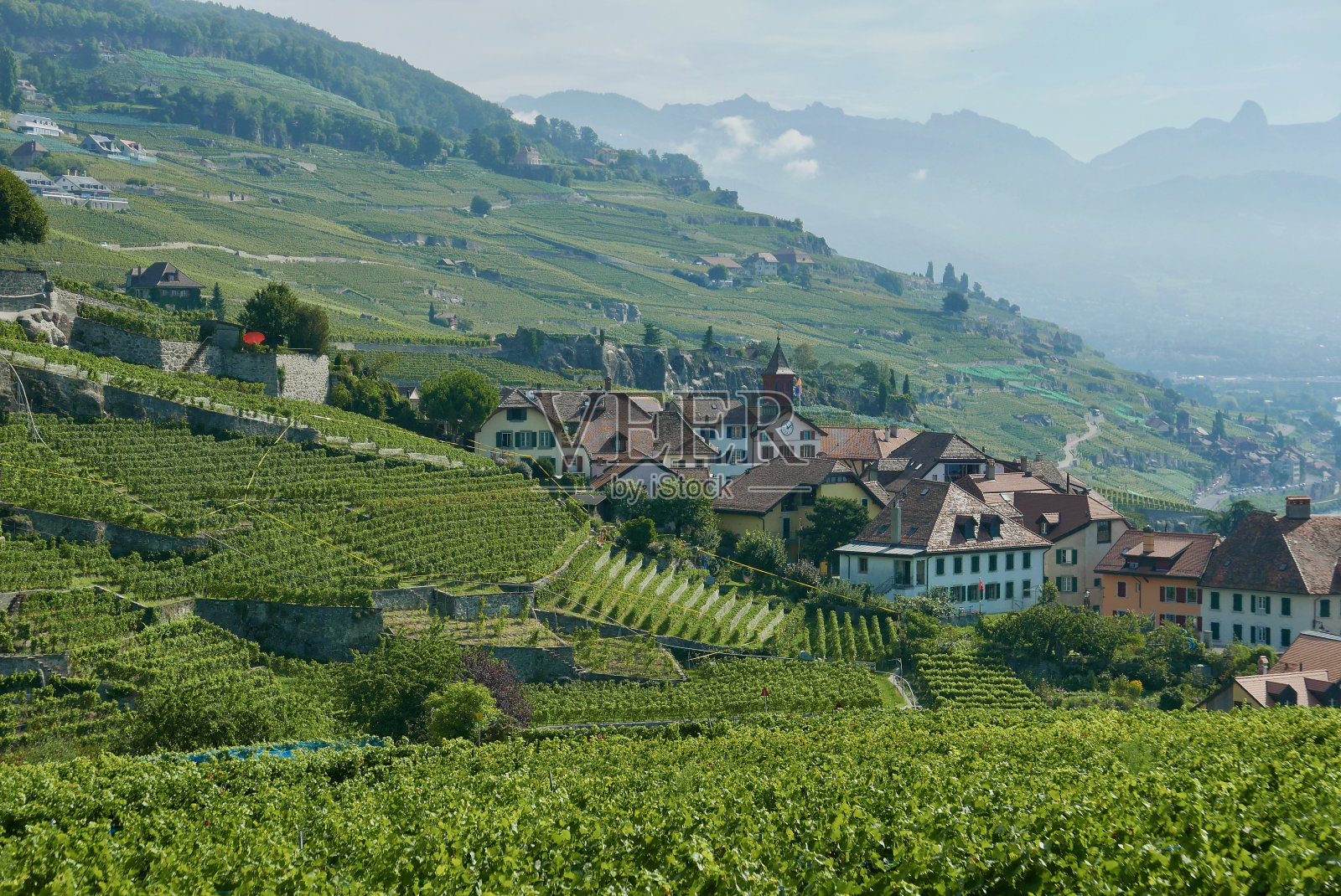 日内瓦湖上的拉沃葡萄园照片摄影图片