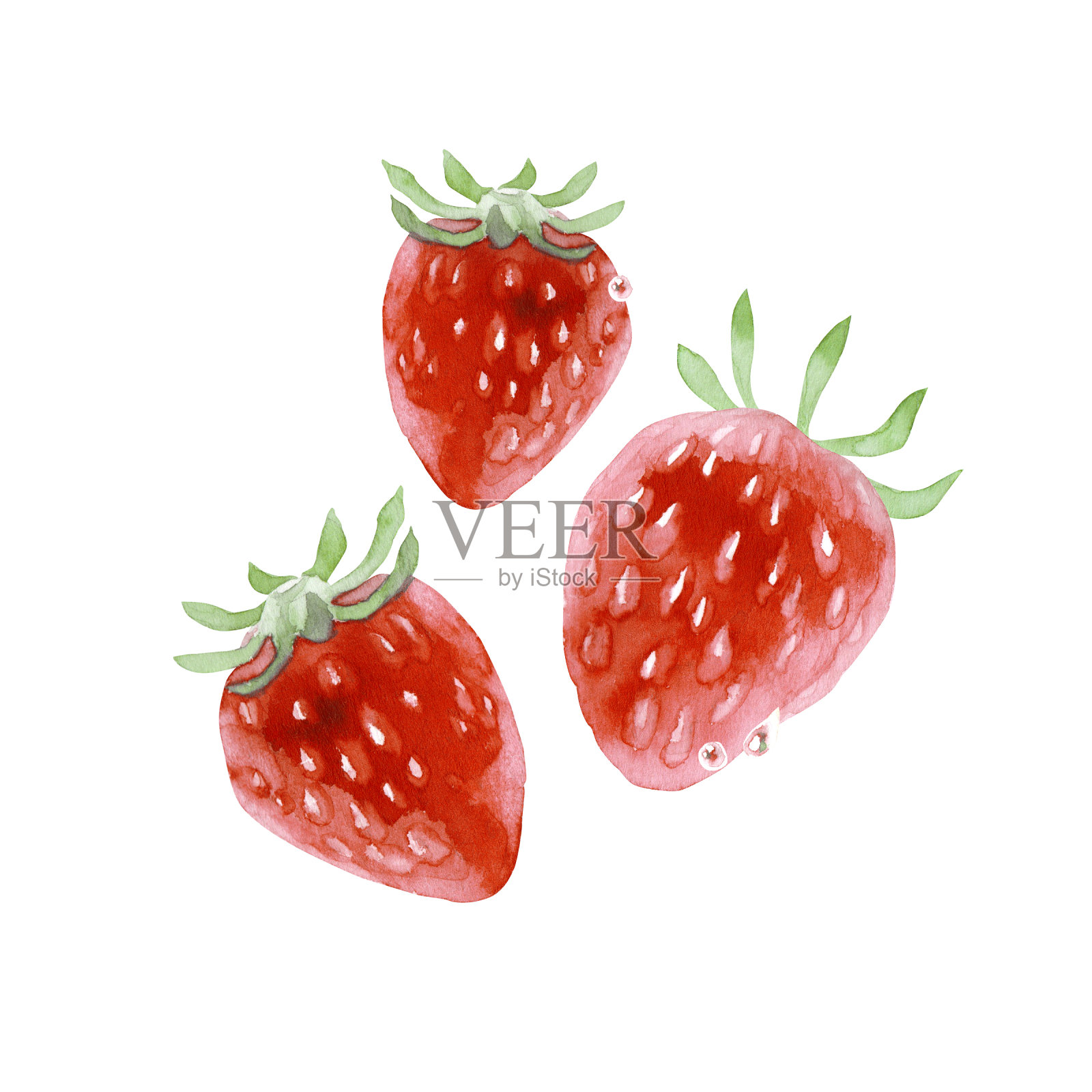 天然草莓水彩插画图片素材