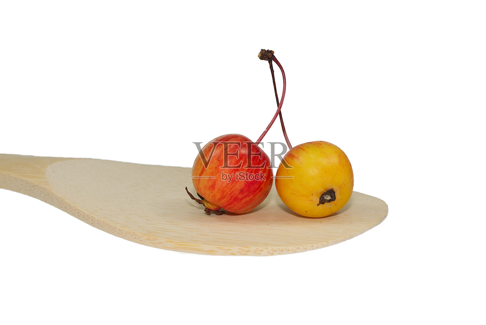 野山楂或孤立的野苹果照片摄影图片